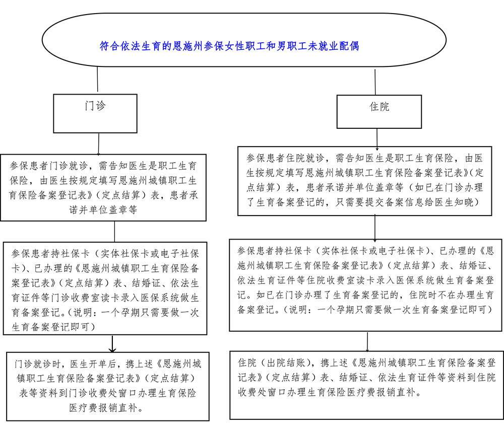 恩施州职工生育保险报销流程图.jpg