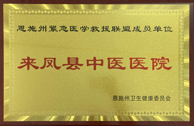 恩施州紧急医学救援联盟成员单位